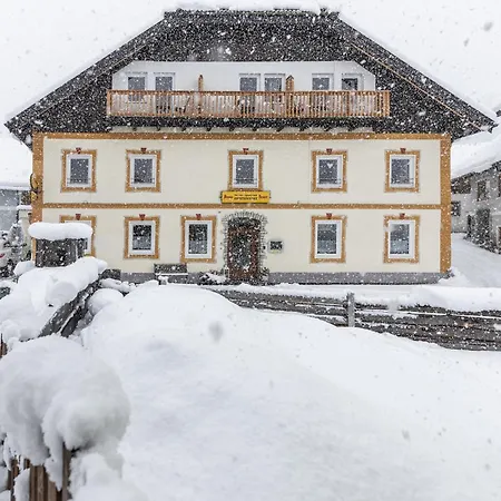 Mentenwirt Pension&appartements 3* Sankt Martin (Salzburg)