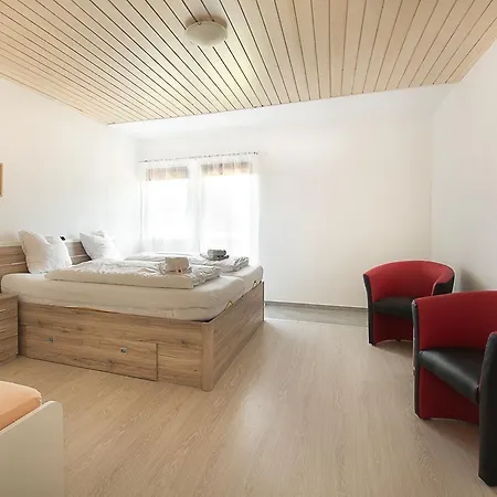 Mentenwirt Pension&appartements 4* Sankt Martin (Salzburg)