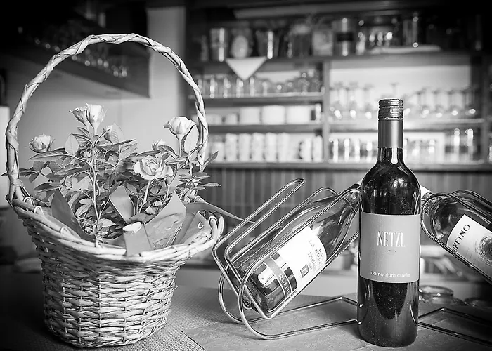 Gasthuis Mentenwirt Pension&appartements Sankt Martin (Salzburg)